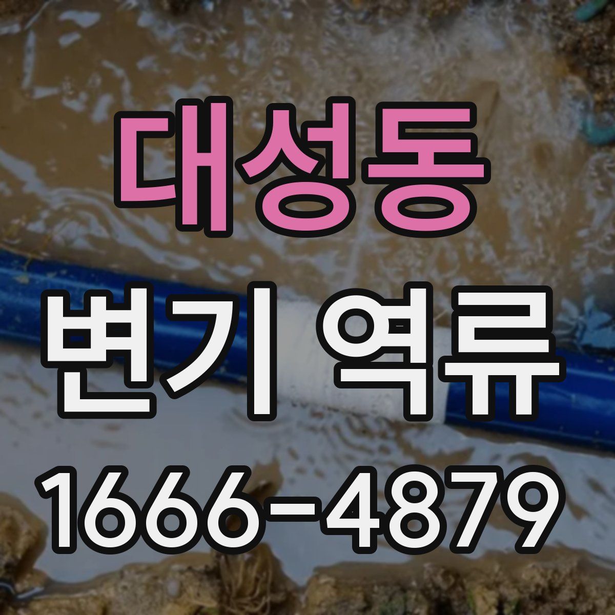 대성동 변기 역류