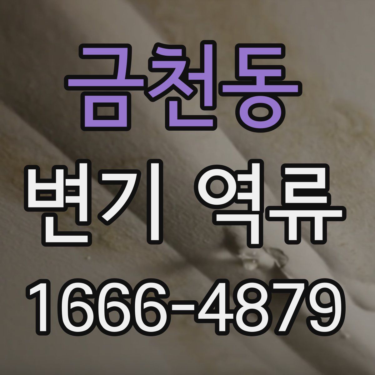 금천동 변기 역류