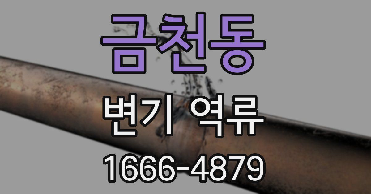금천동 변기 역류