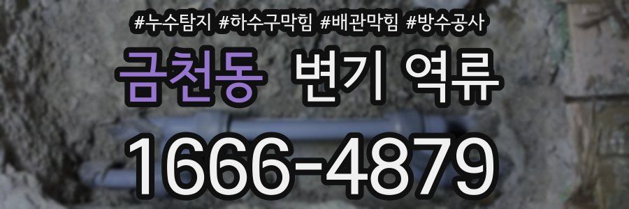 금천동 변기 역류