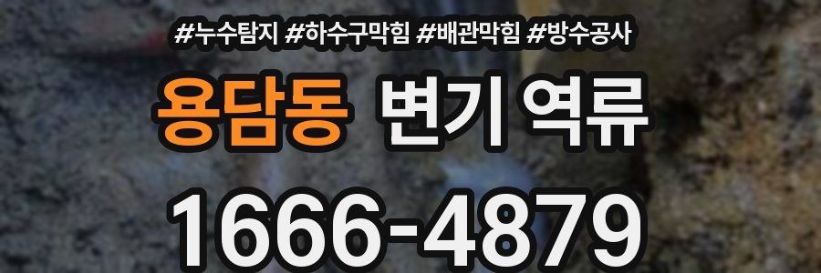 용담동 변기 역류