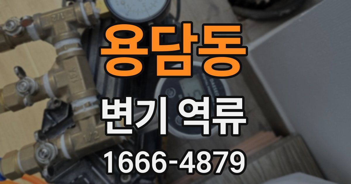 용담동 변기 역류