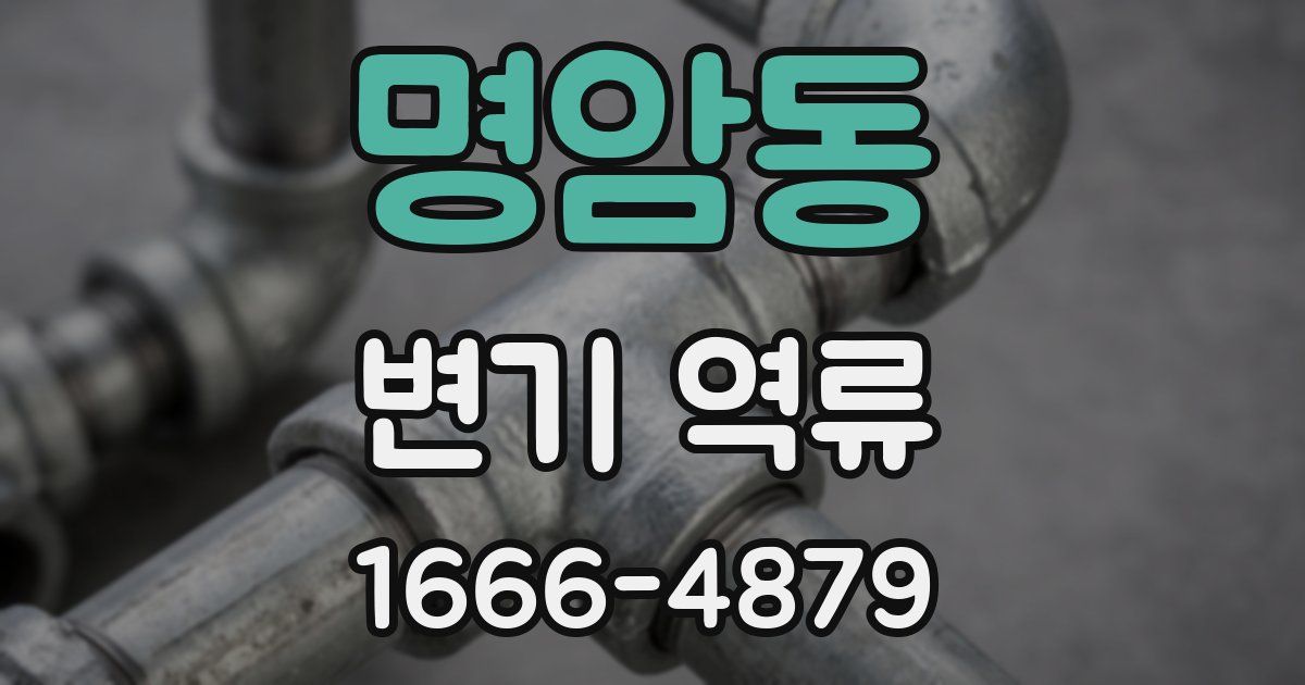 명암동 변기 역류