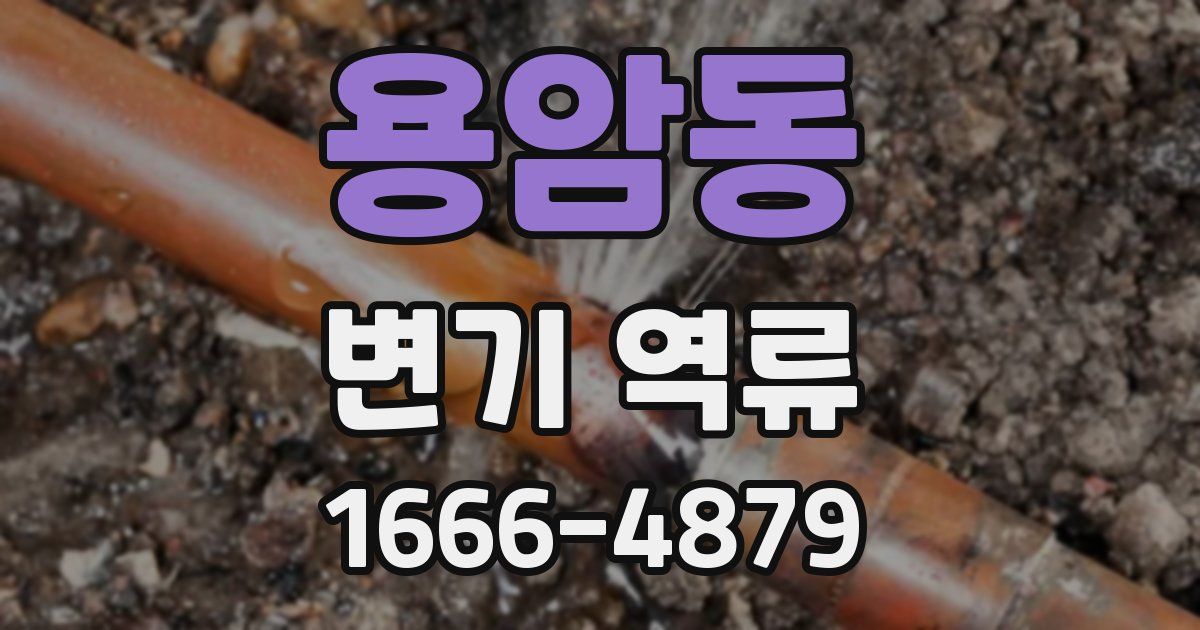 용암동 변기 역류