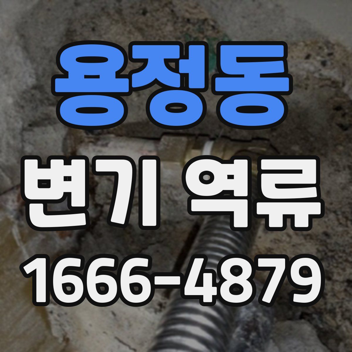 용정동 변기 역류