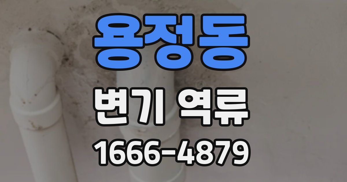 용정동 변기 역류