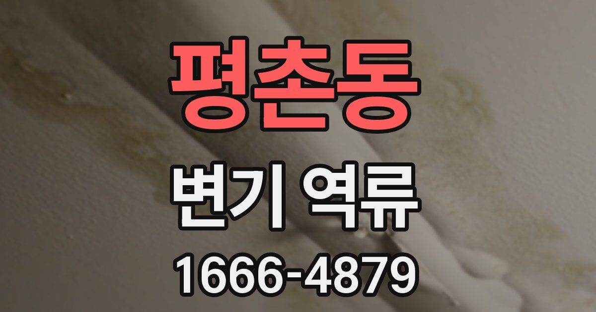 평촌동 변기 역류