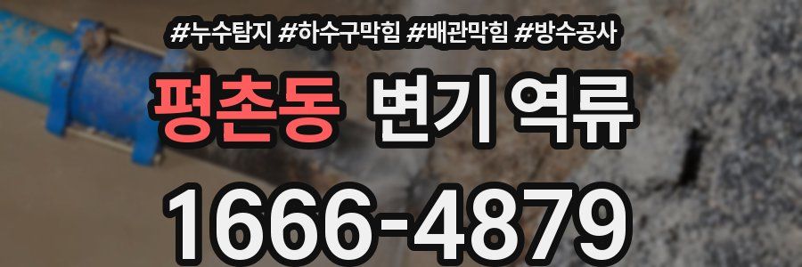 평촌동 변기 역류