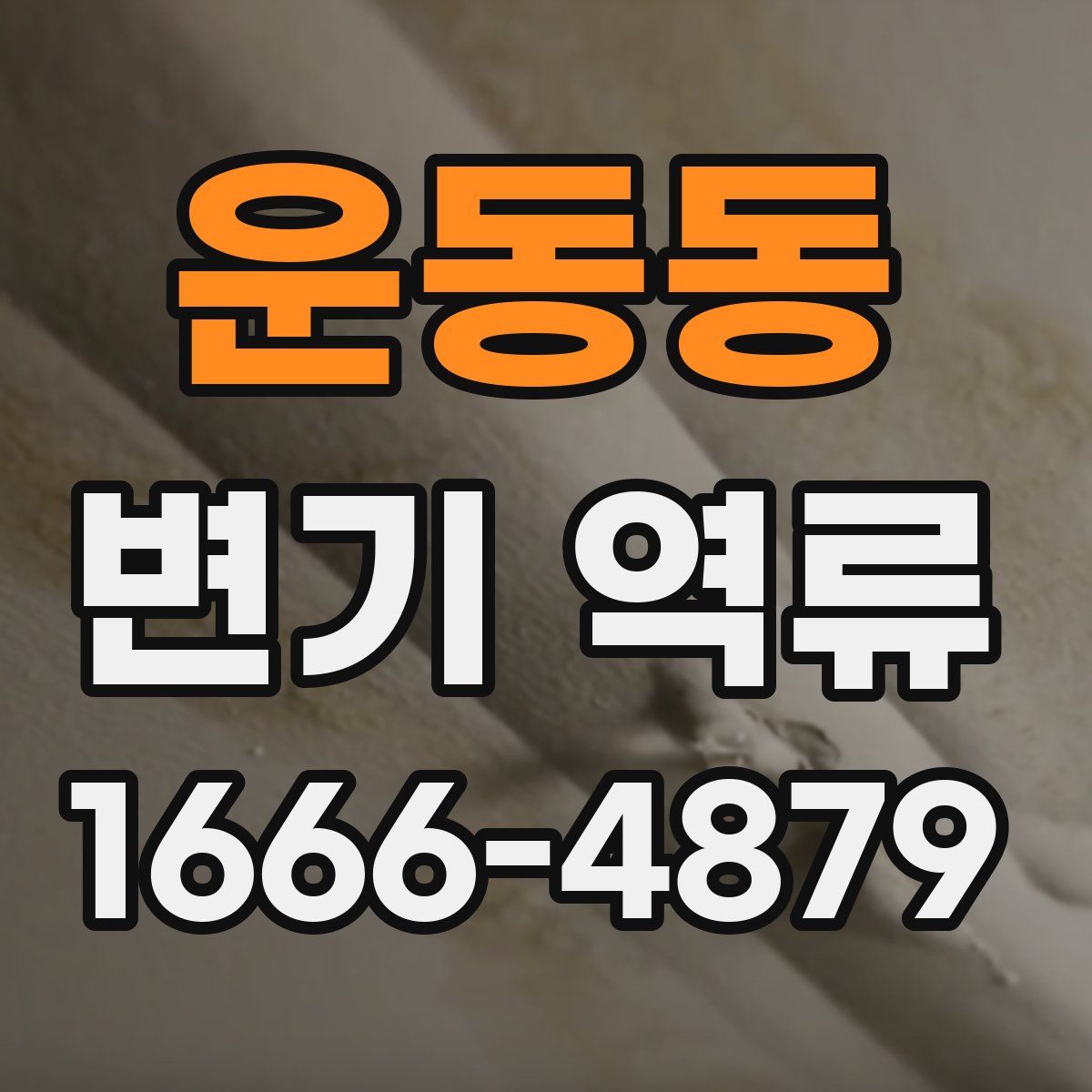 운동동 변기 역류