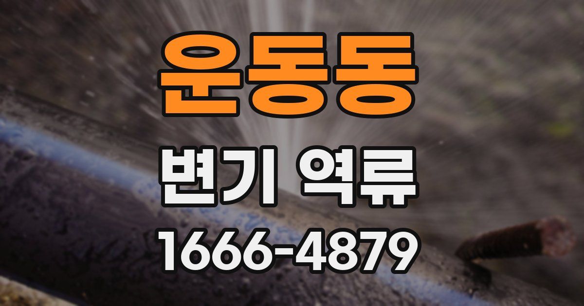 운동동 변기 역류
