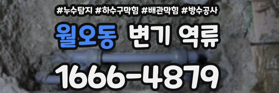 월오동 변기 역류