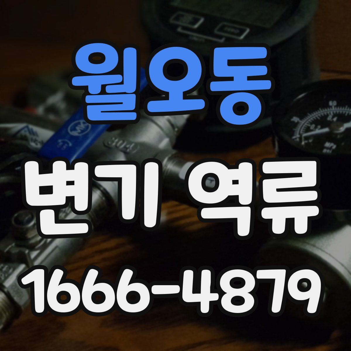 월오동 변기 역류