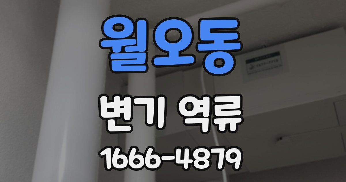 월오동 변기 역류