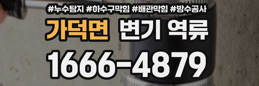 가덕면 변기 역류