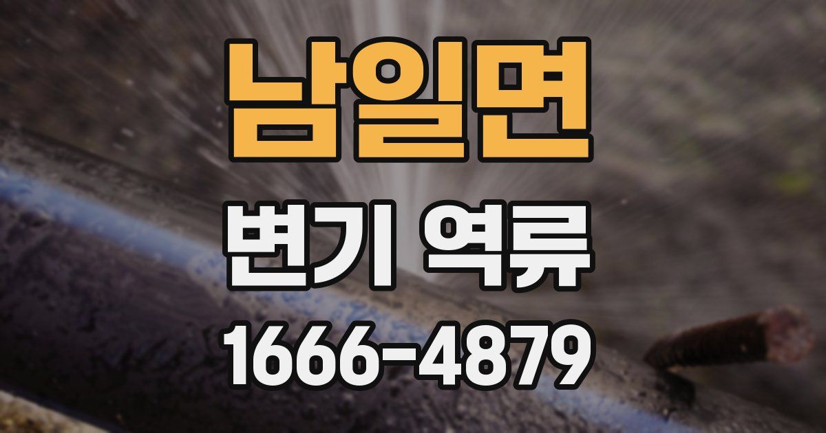 남일면 변기 역류