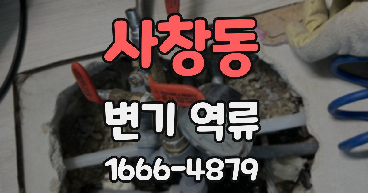 사창동 변기 역류