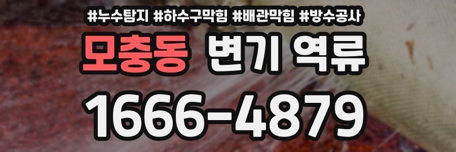 모충동 변기 역류