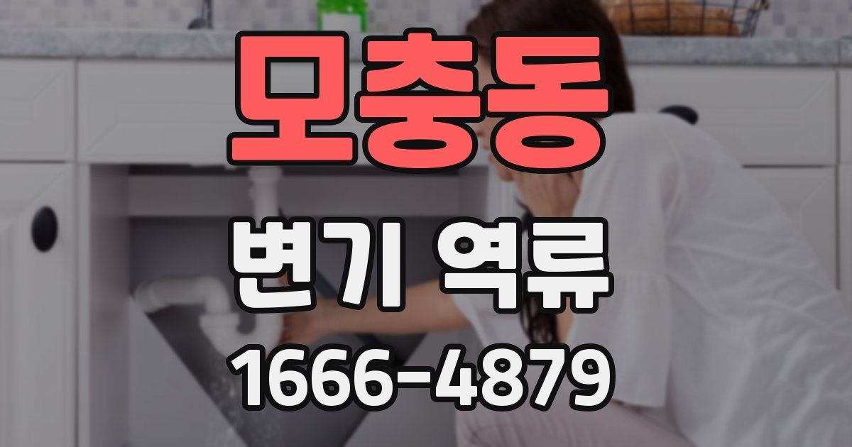 모충동 변기 역류