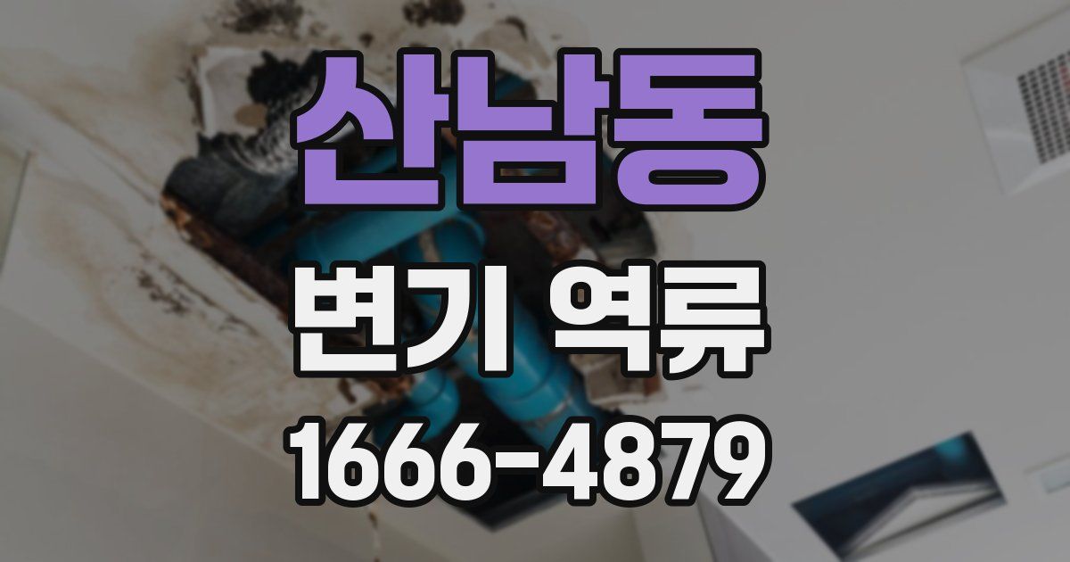 산남동 변기 역류