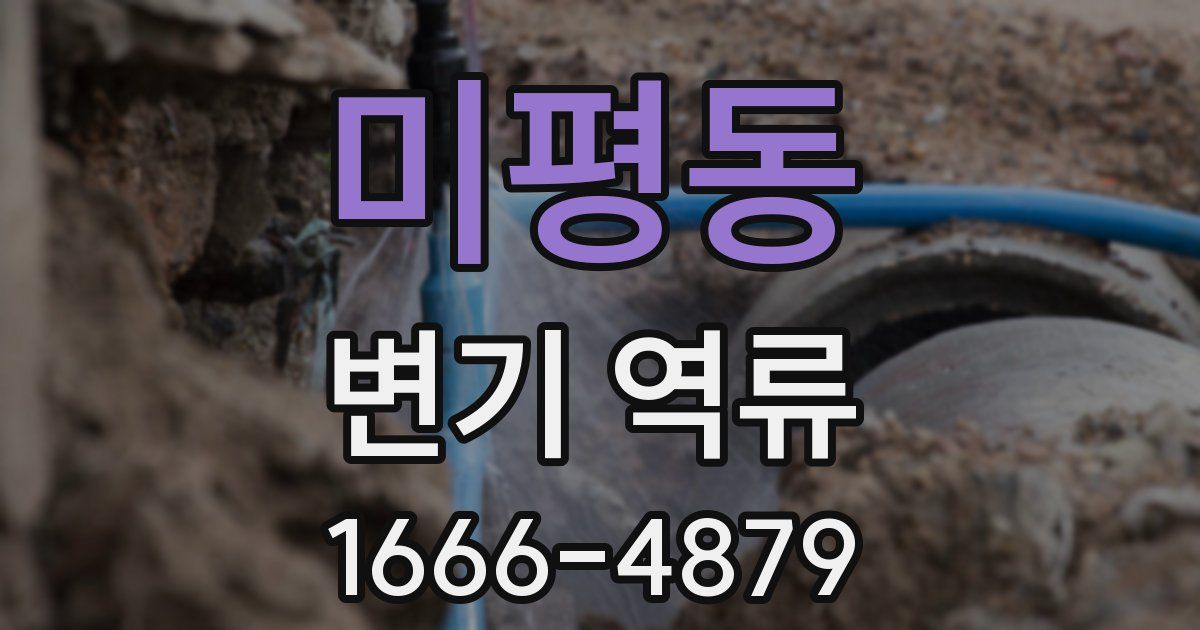 미평동 변기 역류