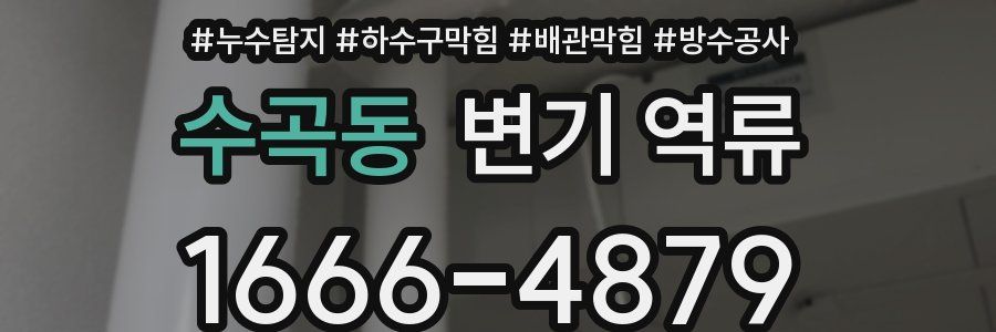 수곡동 변기 역류