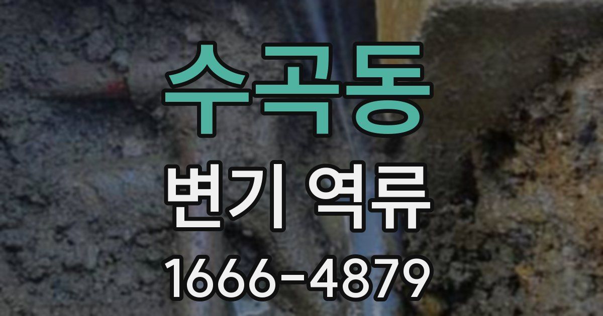수곡동 변기 역류