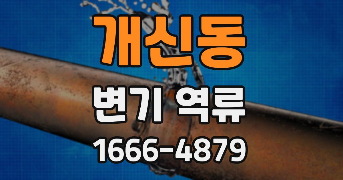 개신동 변기 역류