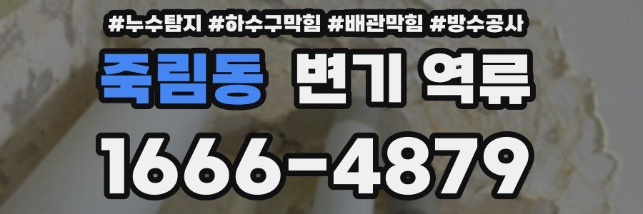 죽림동 변기 역류