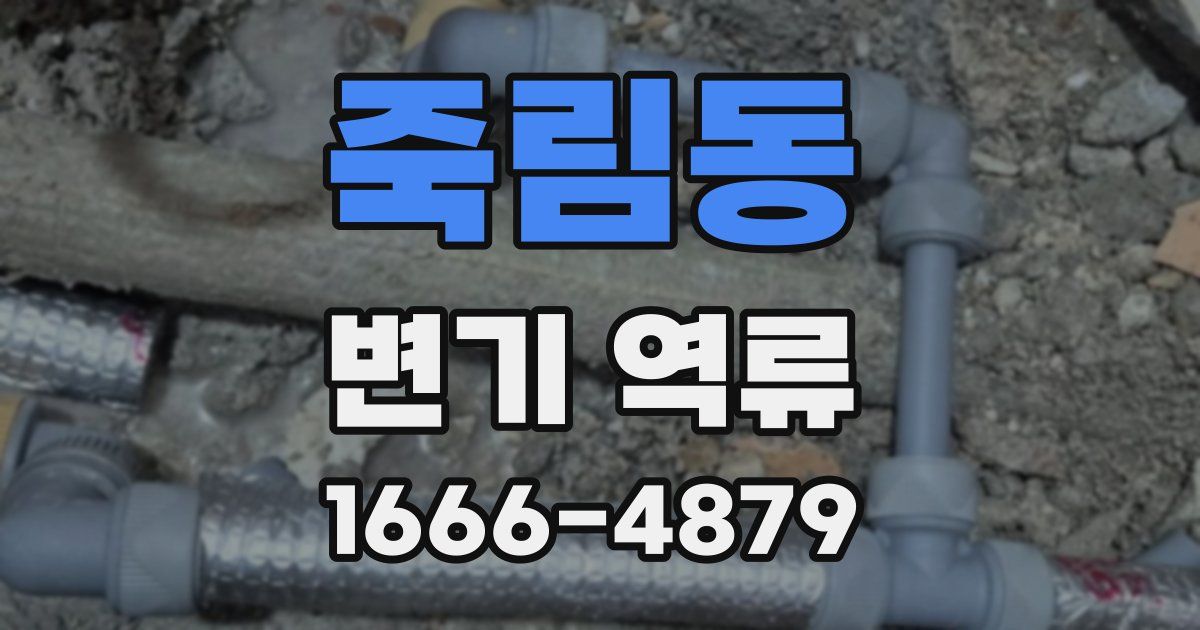 죽림동 변기 역류