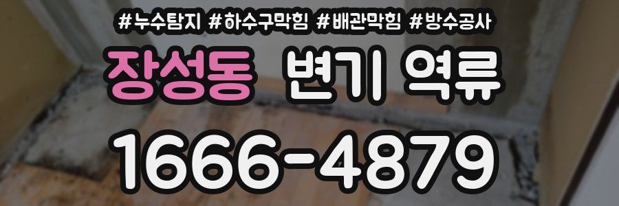 장성동 변기 역류