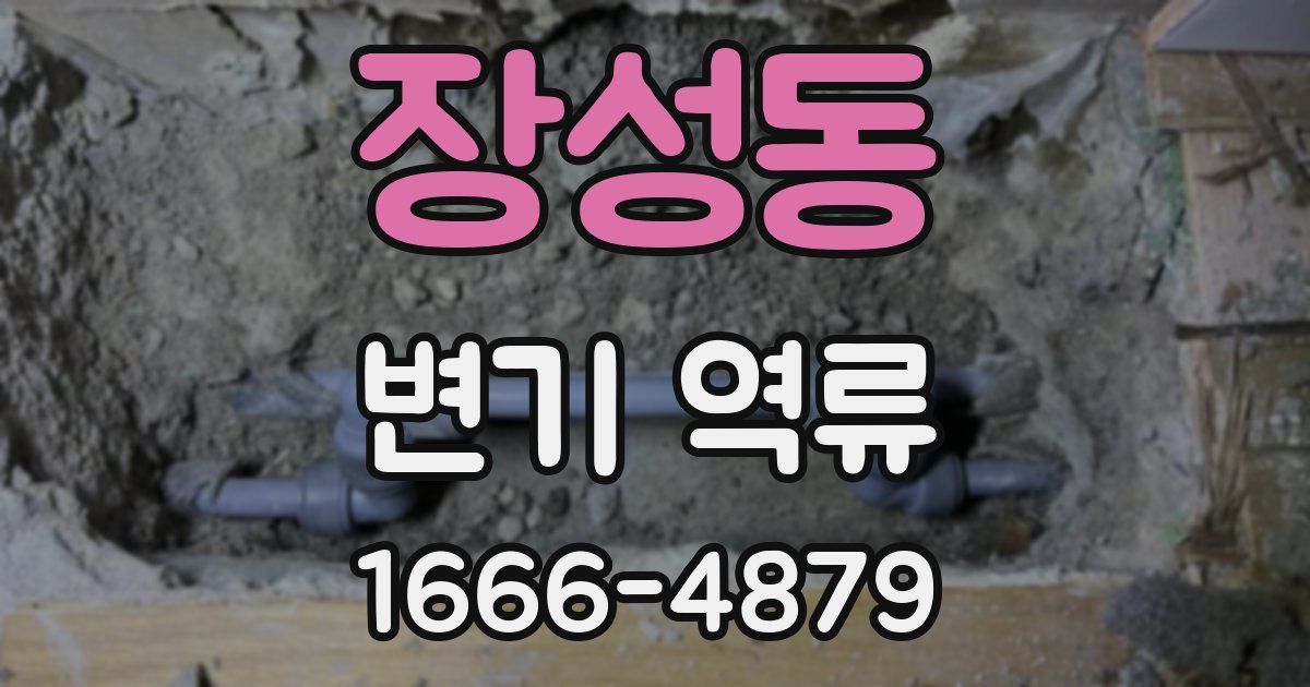 장성동 변기 역류