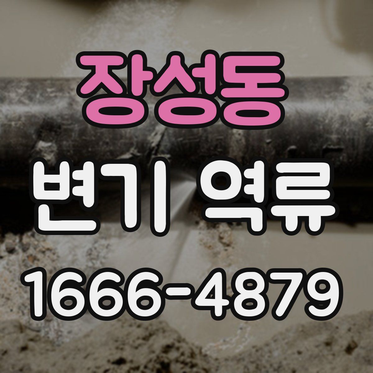 장성동 변기 역류