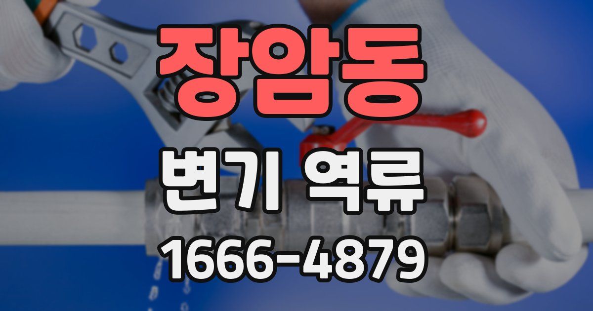 장암동 변기 역류