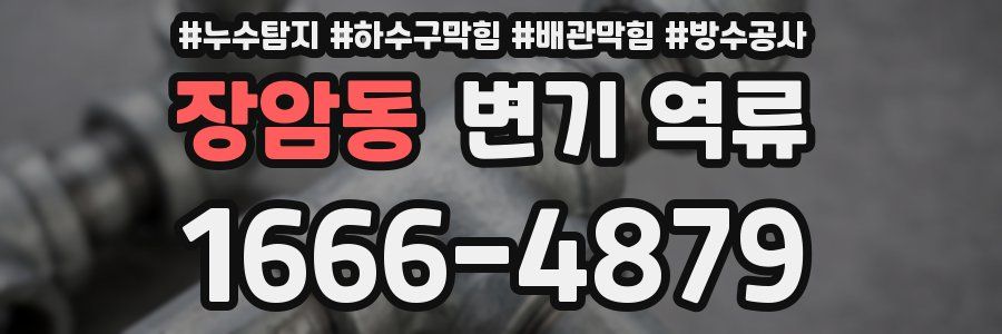 장암동 변기 역류