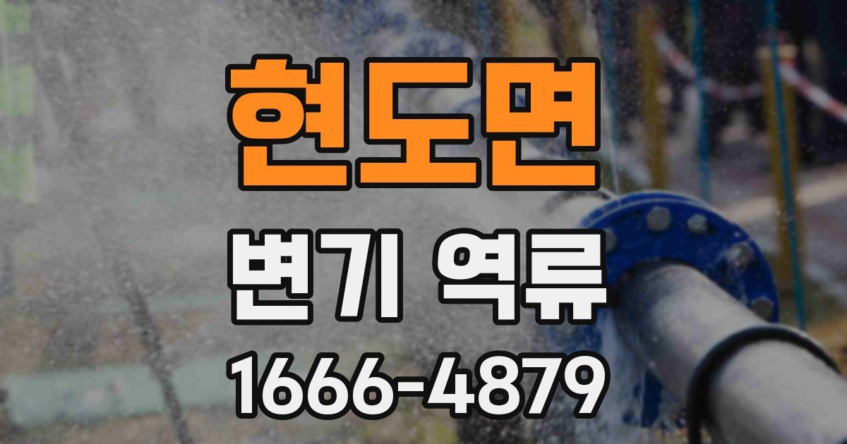 현도면 변기 역류