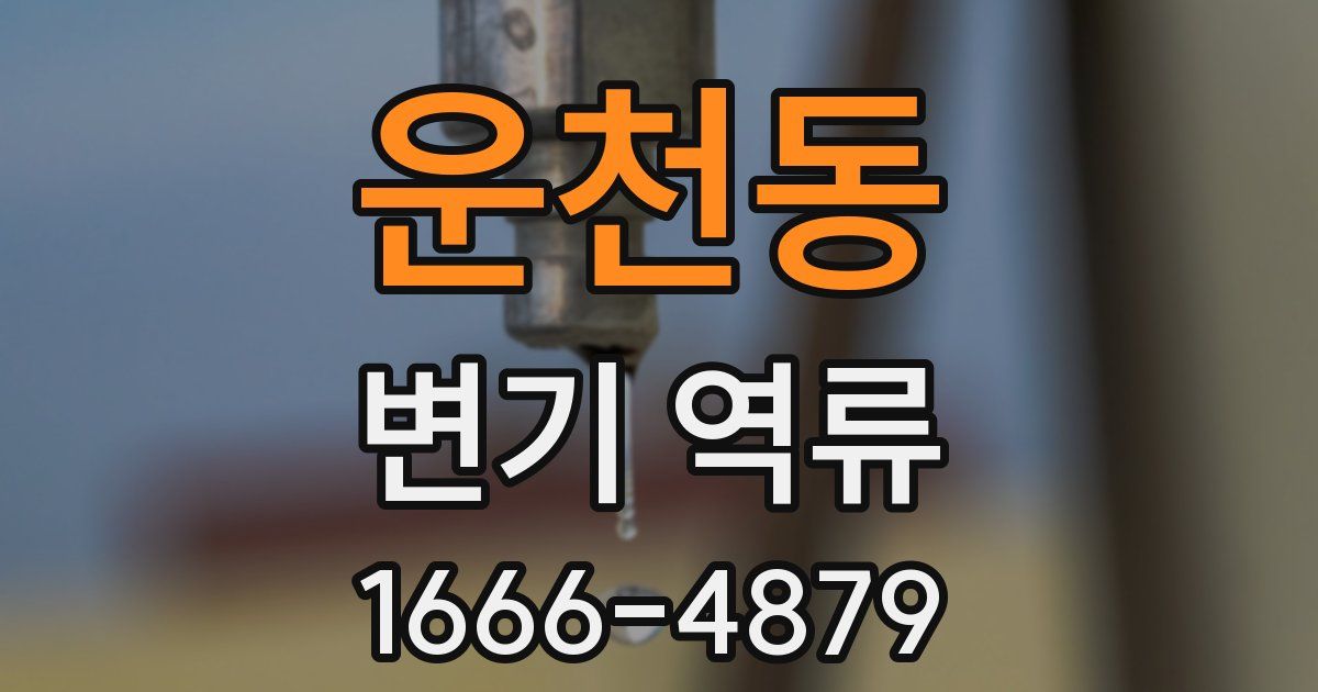 운천동 변기 역류