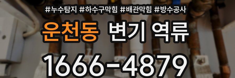 운천동 변기 역류