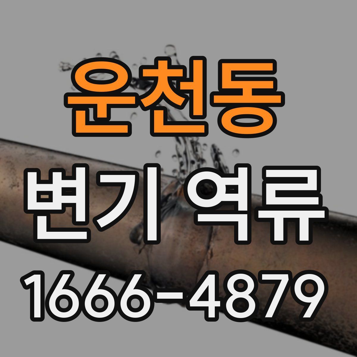 운천동 변기 역류
