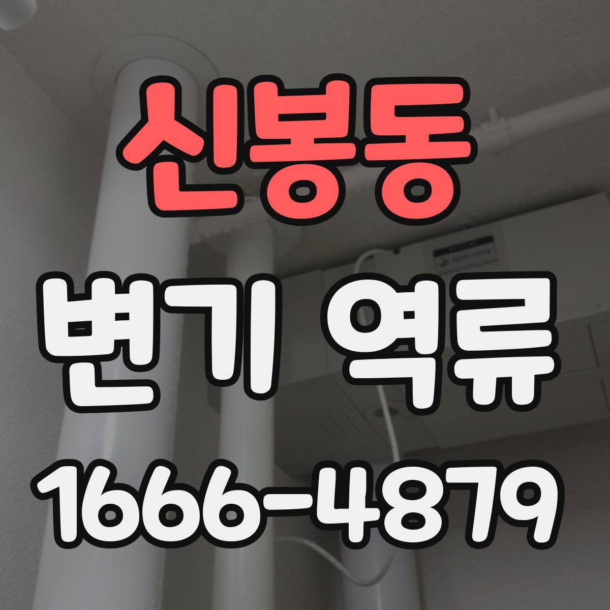 신봉동 변기 역류