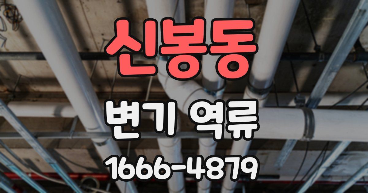 신봉동 변기 역류