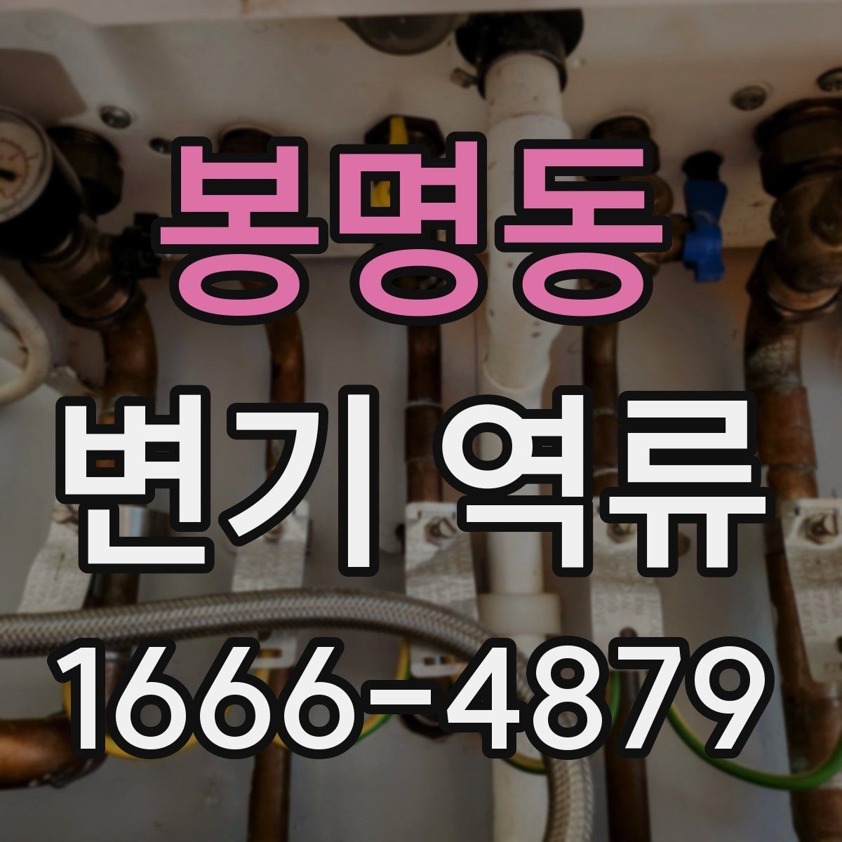 봉명동 변기 역류 문제와 배관 청소의 필요성