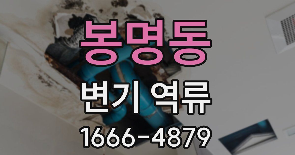 봉명동 변기 역류
