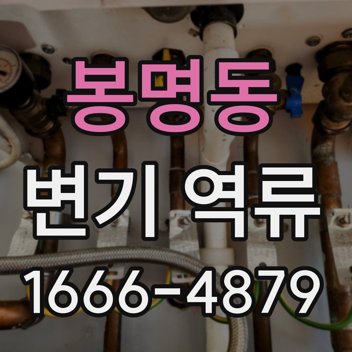 봉명동 변기 역류