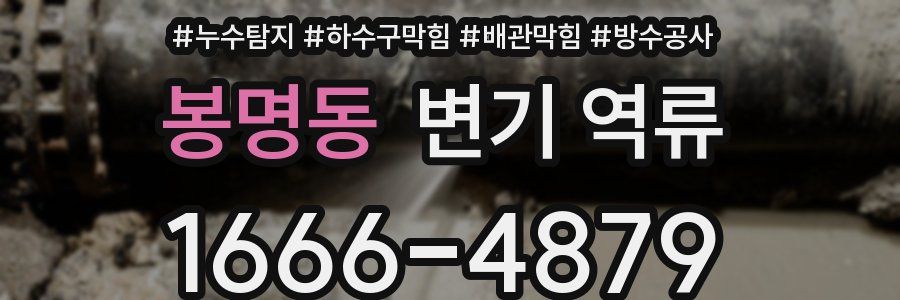 봉명동 변기 역류
