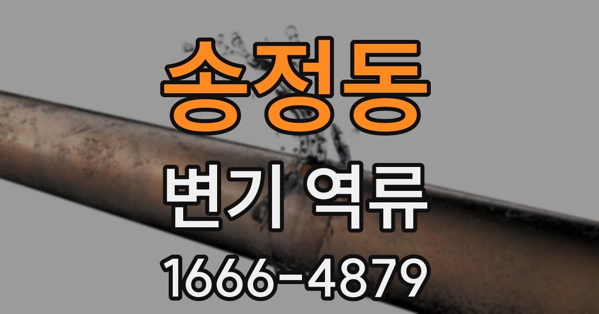 송정동 변기 역류