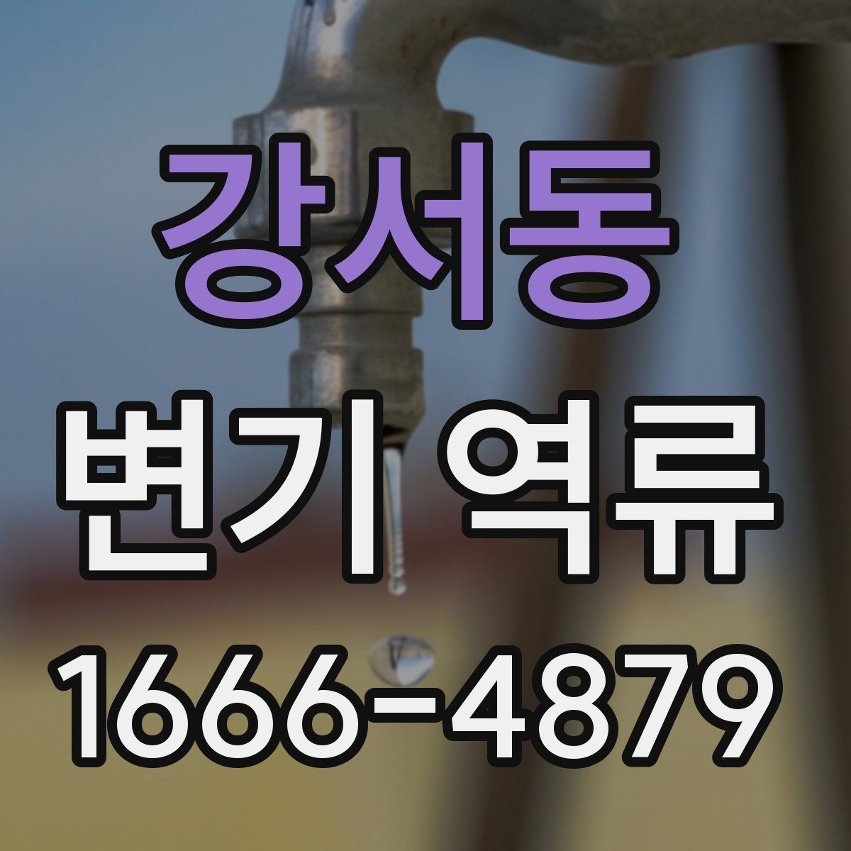 강서동 변기 역류