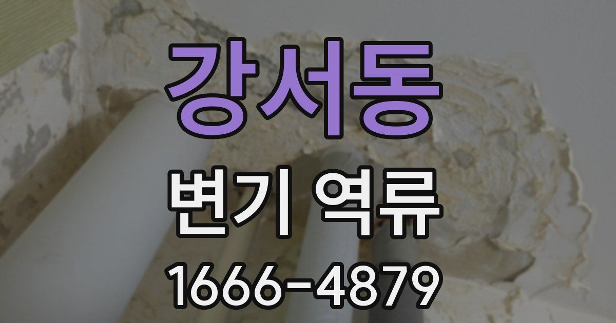 강서동 변기 역류