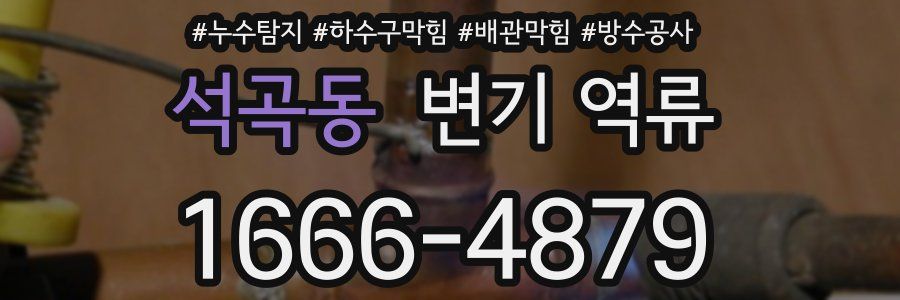 석곡동 변기 역류