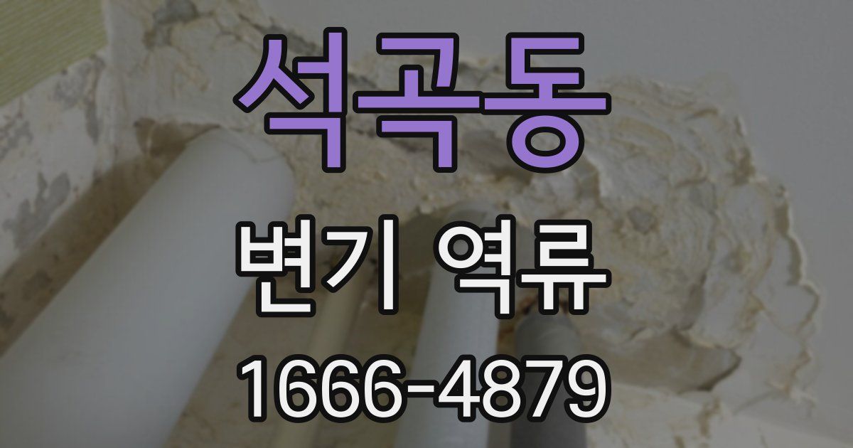 석곡동 변기 역류