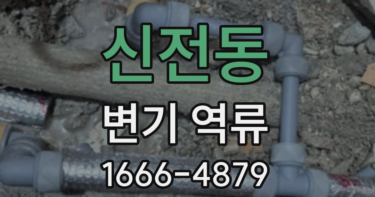 신전동 변기 역류